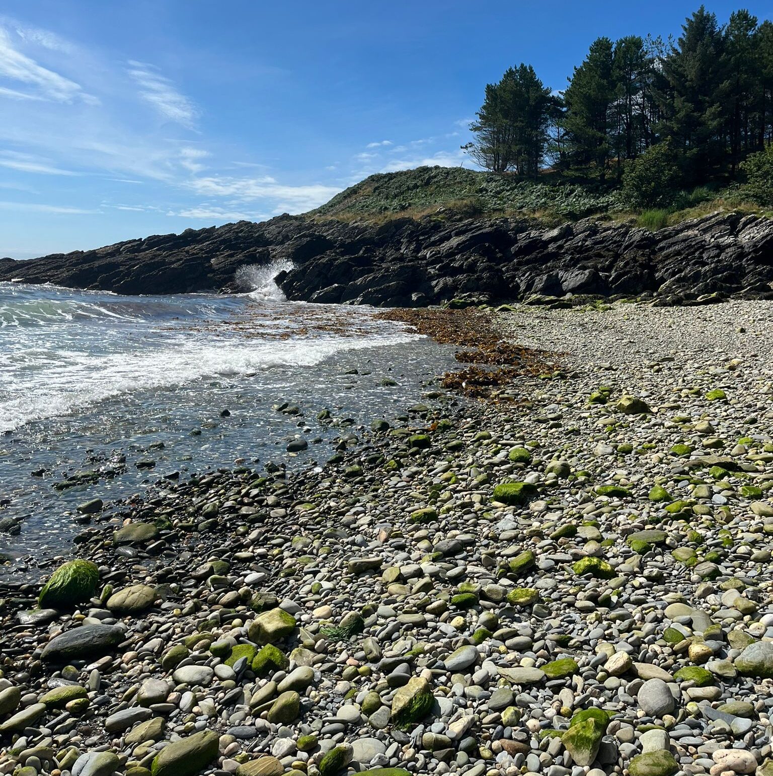 port cornaa seaweed